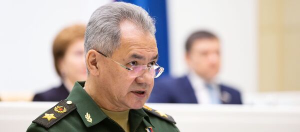 Министр обороны РФ Сергей Шойгу  - 俄罗斯卫星通讯社