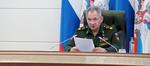 Министр обороны России Сергей Шойгу  - 俄罗斯卫星通讯社
