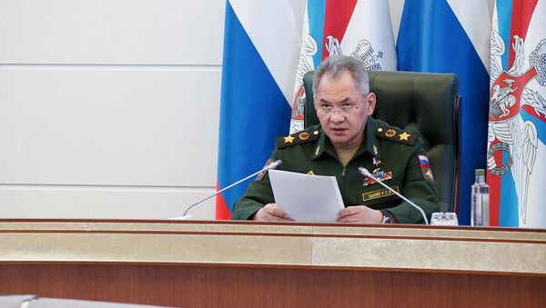 Министр обороны России Сергей Шойгу  - 俄罗斯卫星通讯社
