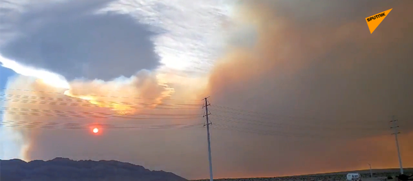 美国拉斯维加斯查尔斯顿山森林大火 - 俄罗斯卫星通讯社