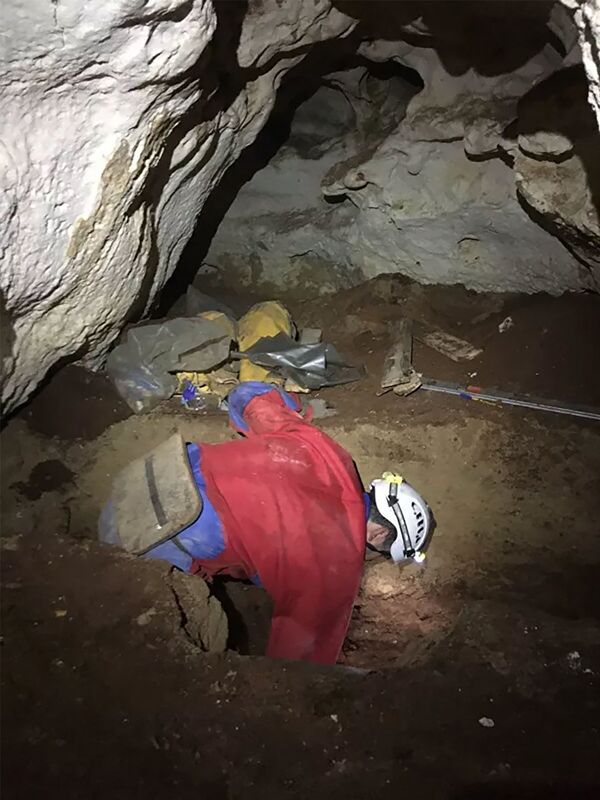 克里米亞發現古犀牛的遺骨 克里米亞發現古犀牛的遺骨 - 俄羅斯衛星通訊社