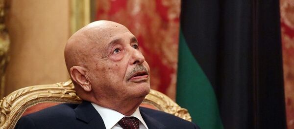 Акила Салех - 俄羅斯衛星通訊社