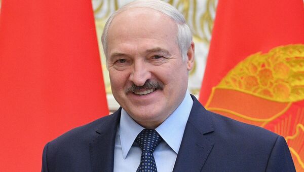 白俄羅斯總統重申打算修改本國憲法 - 俄羅斯衛星通訊社
