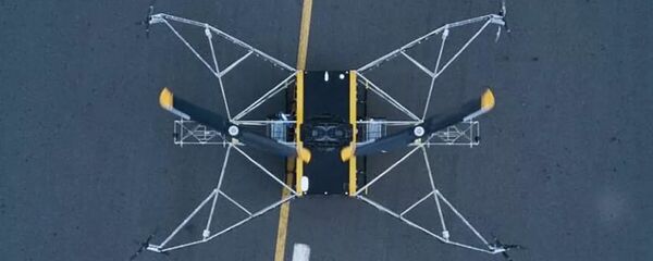 Дрон BRAERON - 俄罗斯卫星通讯社