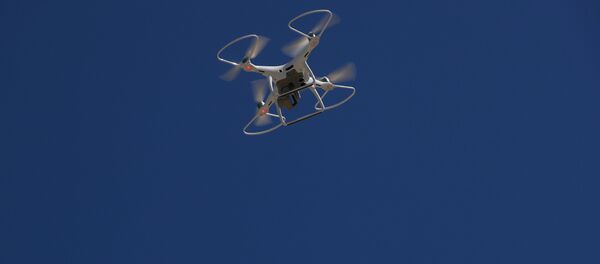 Дрон на учениях по предотвращению незаконного пересечения мигрантами австрийской-венгерской границы - 俄羅斯衛星通訊社