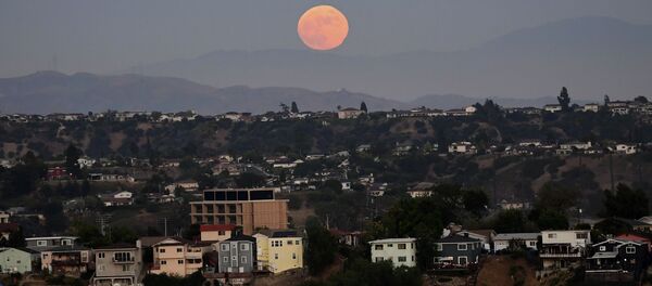 洛杉矶政府因新冠对所有市民实行家居隔离措施 洛杉矶政府因新冠对所有市民实行家居隔离措施 - 俄罗斯卫星通讯社