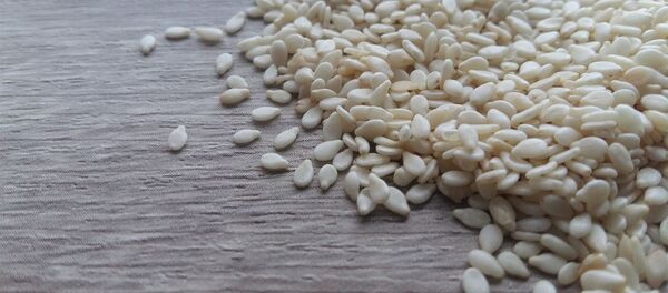 美国专家发现中国的“神秘种子”无害 - 俄罗斯卫星通讯社