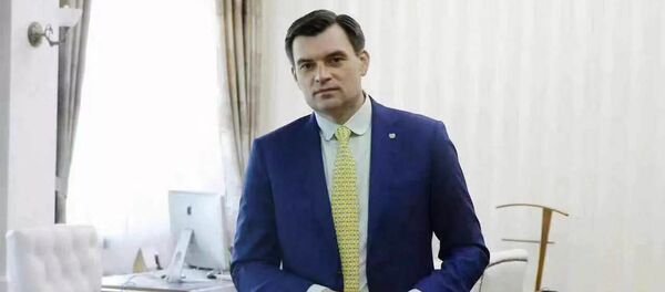 Торговый представитель РФ в КНР Сергей Инюшин - 俄罗斯卫星通讯社