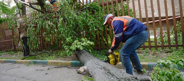 Ликвидация последствий урагана в Москве - 俄罗斯卫星通讯社