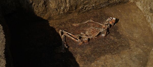 Под Краснодаром в кургане обнаружено оружие древних воинов - 俄羅斯衛星通訊社